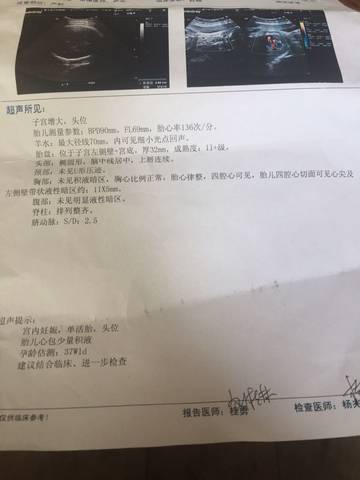 journal_insert_pic_732116697
