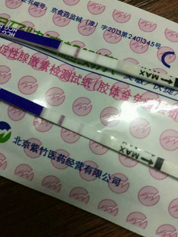 journal_insert_pic_732596980