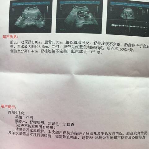 journal_insert_pic_731932834
