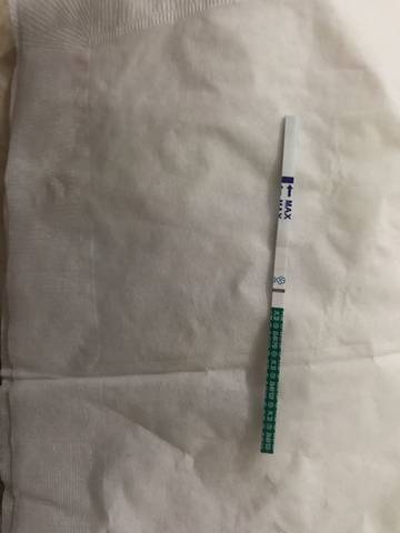 journal_insert_pic_731838438