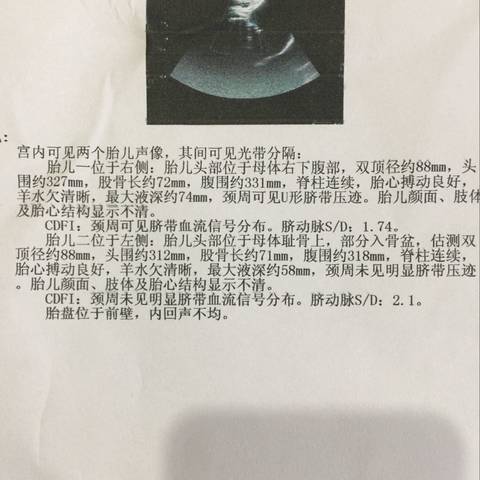 journal_insert_pic_733152031