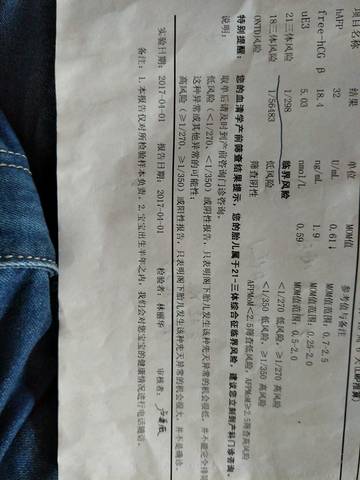 journal_insert_pic_733927055