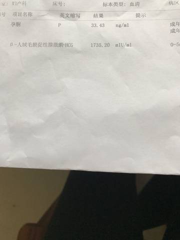 journal_insert_pic_733635140