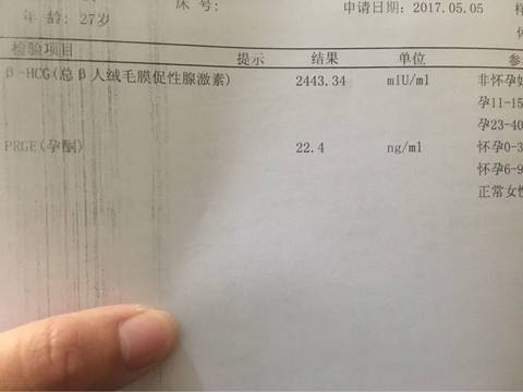 journal_insert_pic_735029161