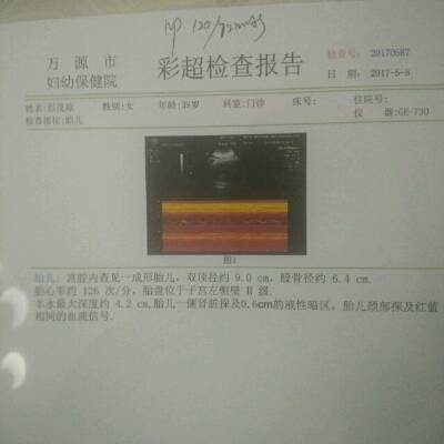 journal_insert_pic_734774595