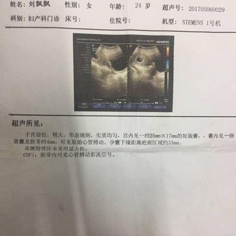 journal_insert_pic_735670054