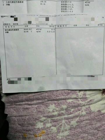 journal_insert_pic_735702186