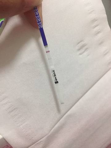 journal_insert_pic_735640687