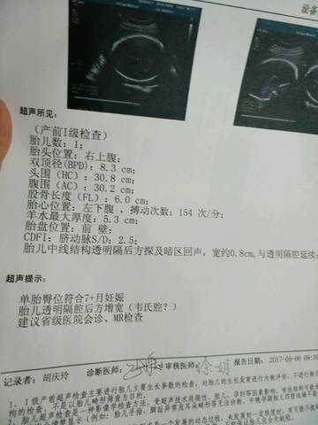 journal_insert_pic_735913349