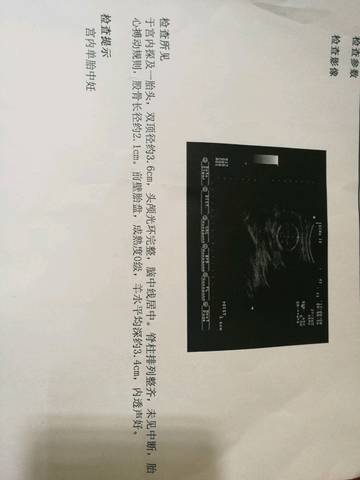 journal_insert_pic_736863847