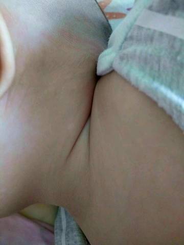 journal_insert_pic_737366630