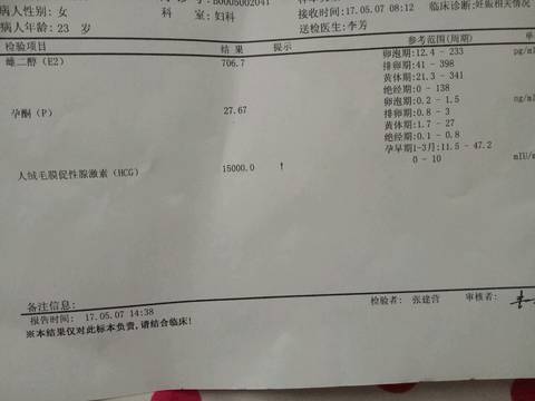 journal_insert_pic_736960027