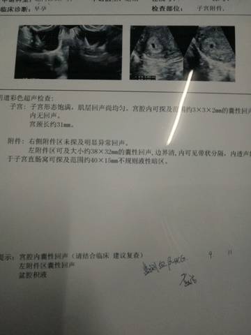 journal_insert_pic_736844536
