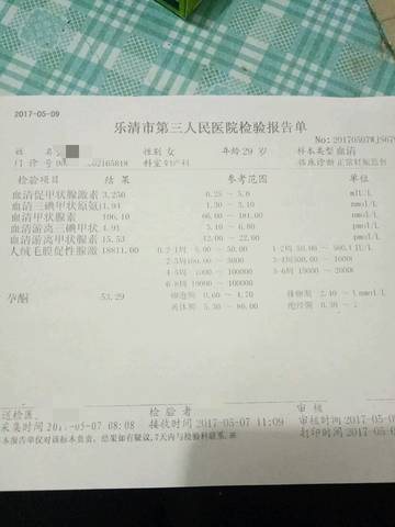 journal_insert_pic_737951850