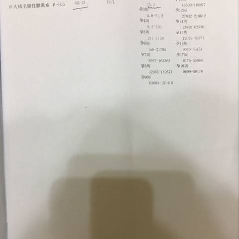 journal_insert_pic_738059698