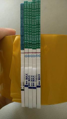 journal_insert_pic_738128513