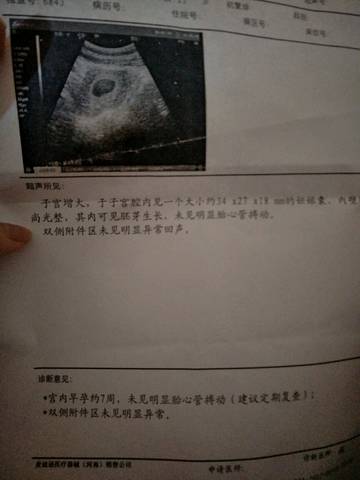 journal_insert_pic_737874979
