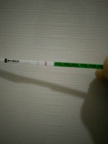 journal_insert_pic_738249645