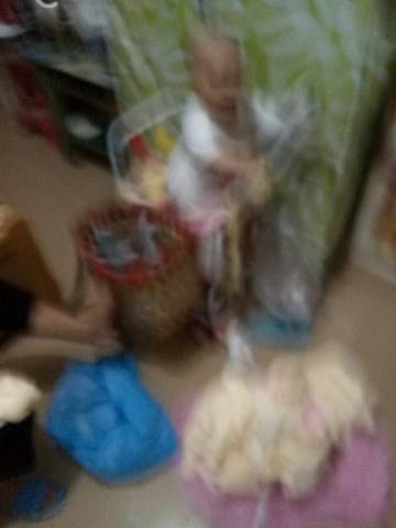 journal_insert_pic_738421253