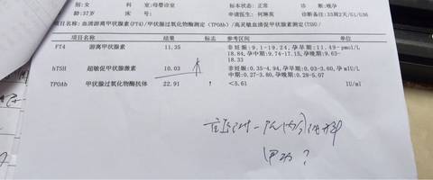 journal_insert_pic_738681285