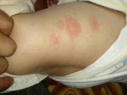 journal_insert_pic_739326674