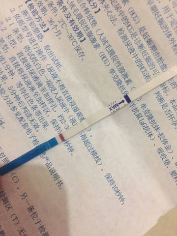 journal_insert_pic_739244322