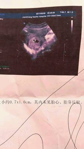 journal_insert_pic_739273887