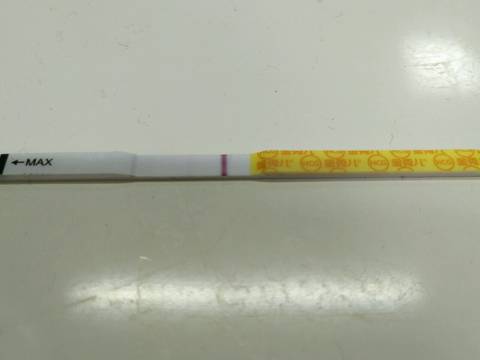 journal_insert_pic_739405126
