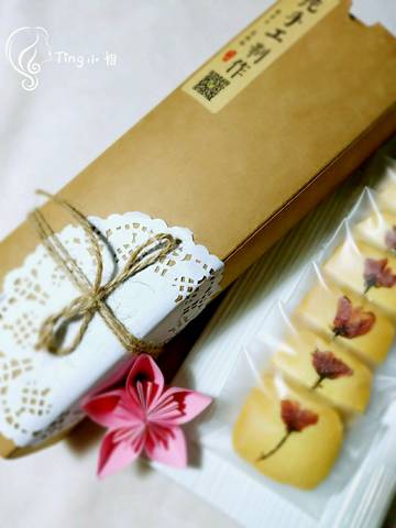 journal_insert_pic_740137530