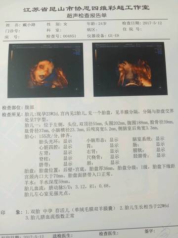 journal_insert_pic_740290921