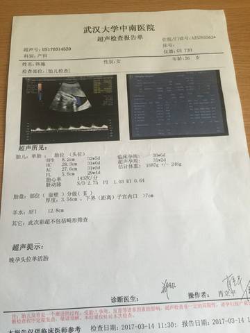 journal_insert_pic_739969209
