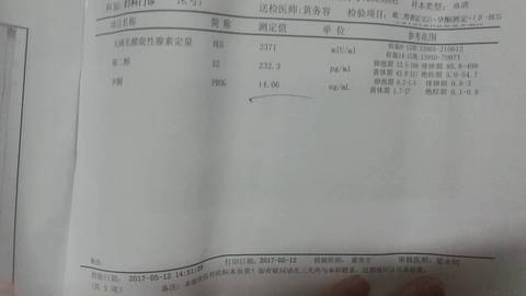 journal_insert_pic_740318370