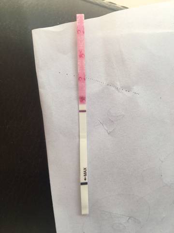 journal_insert_pic_740037235