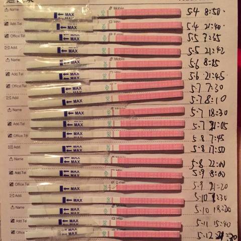 journal_insert_pic_740368453
