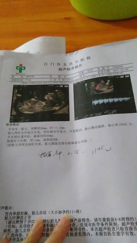 journal_insert_pic_739874471