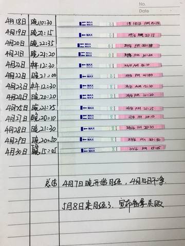 journal_insert_pic_740992653