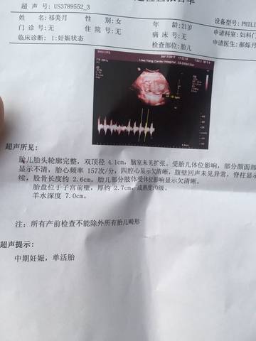 journal_insert_pic_740732404