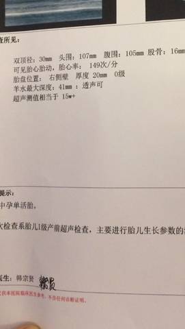 journal_insert_pic_741411621