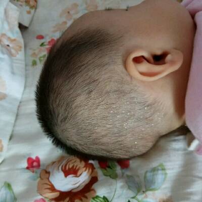 journal_insert_pic_741526196