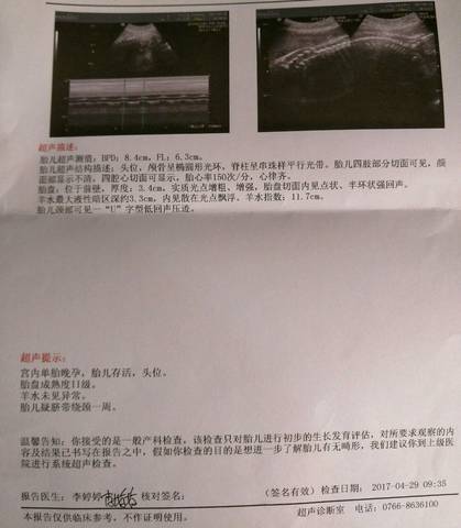 journal_insert_pic_741571737