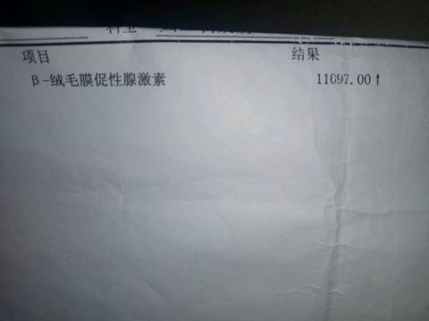 journal_insert_pic_742517209