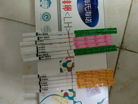 journal_insert_pic_742518883