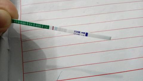 journal_insert_pic_742187600