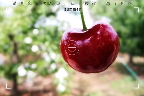journal_insert_pic_743440591