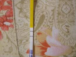 journal_insert_pic_744257548