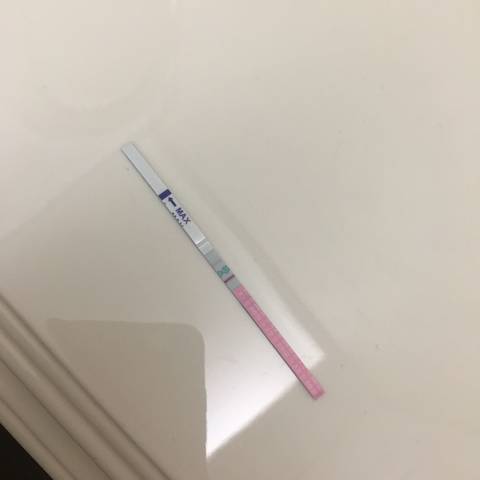 journal_insert_pic_744306617