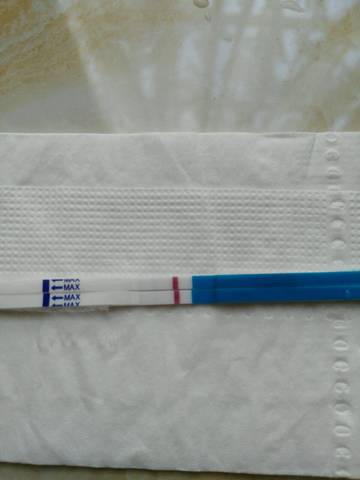 journal_insert_pic_743705299