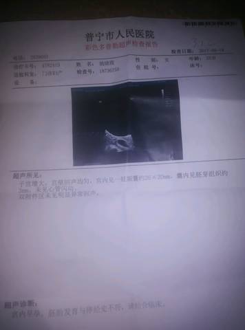 journal_insert_pic_744893574