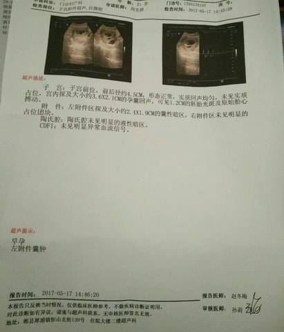 journal_insert_pic_744695970