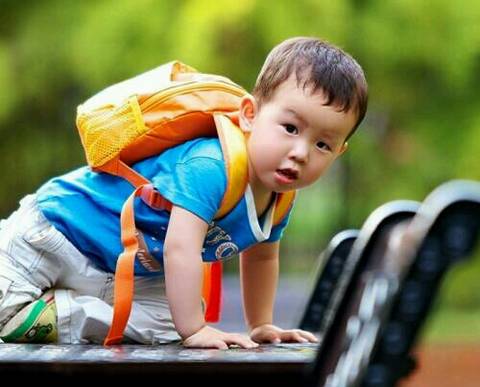 journal_insert_pic_745745760
